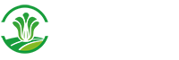 广州丝袜按摩